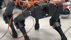 Robot Dog Side View